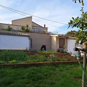 Zefir Premantura